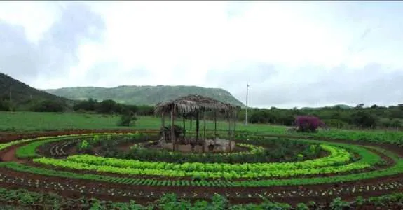 Projeto PAIS busca favorecer relação da agricultura familiar com a agroindústria Projeto PAIS busca favorecer relação da agricultura familiar com a agroindústria