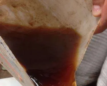 Húmus líquido: adubação orgânica líquida visando a transição agroecológica