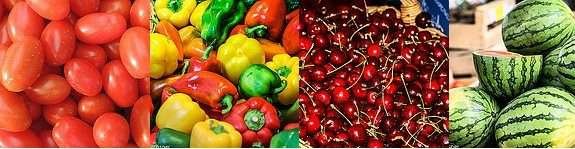 Receitas gastronômicas orgânicas