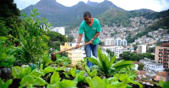 Volta Redonda promove Horta Orgânica