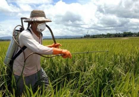 Pesquisa mostra o perigo dos agrotóxicos Pesquisa mostra o perigo dos agrotóxicos
