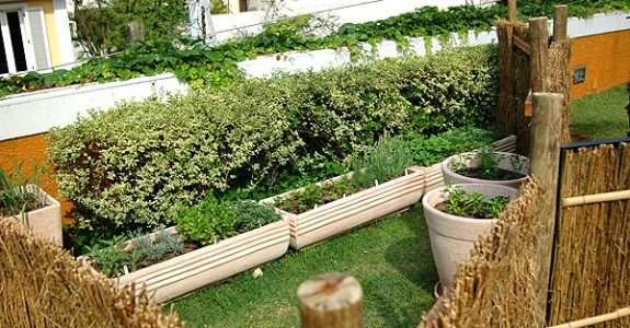 Produção agroecológica é tema de debates em Roraima