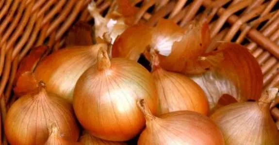 Desempenho produtivo e perda de peso no armazenamento de cultivares de cebola em sistema orgânico.