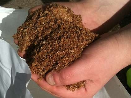 Técnica orgânica japonesa é aplicada à produção de alimentos Técnica orgânica japonesa é aplicada à produção de alimentos