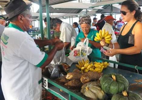 Governo promove implantação de feiras da agricultura familiar Governo promove implantação de feiras da agricultura familiar