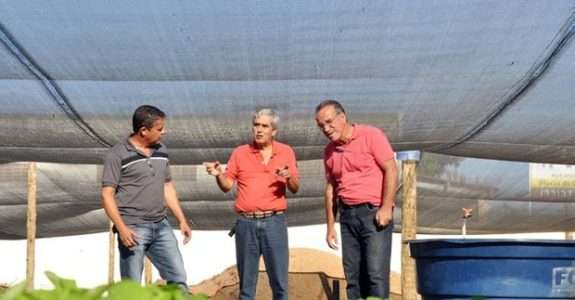 EcoHorta Comunitária inicia plantio experimental de verão em Campos, RJ