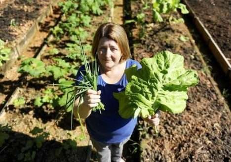 Projeto Germinar mantém 26 hortas comunitárias em Jaraguá do Sul