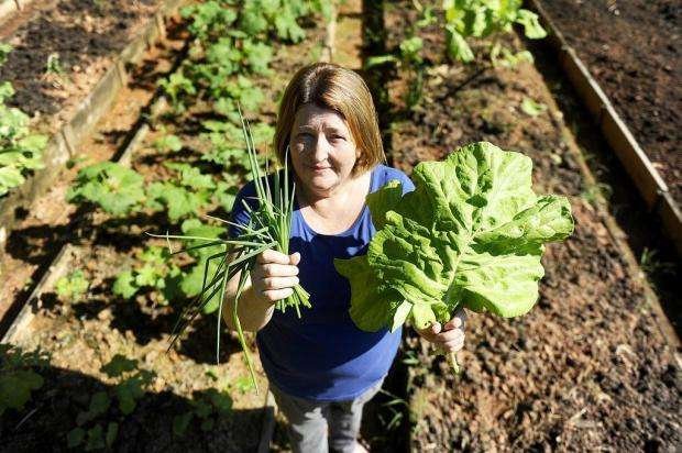 Elvira Fernandes, 55 anos, colhe couve e temperos em seu canteiro na horta comunitária do bairro Rau Foto: Maykon Lammerhirt / Agencia RBS