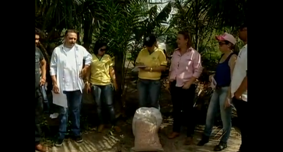 No Pará, pesquisadores transformam dinheiro velho em adubo orgânico