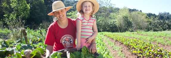 Agentes vão atender 4,5 mil famílias da Região Sul