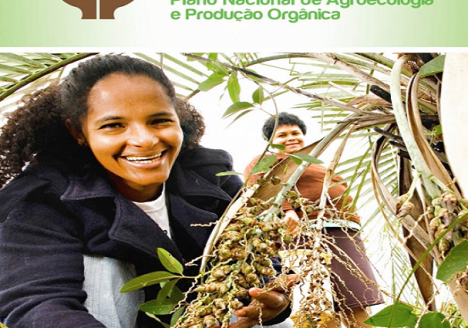 Agricultores terão incentivo para produção orgânica no Brasil Agricultores terão incentivo para produção orgânica no Brasil