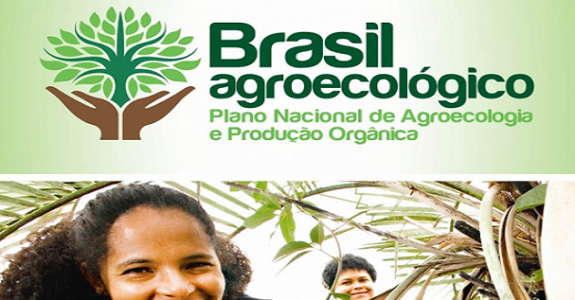 Agricultores terão incentivo para produção orgânica no Brasil