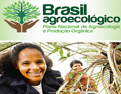 Agroecologia e produção orgânica terão plano e eixo temático novos