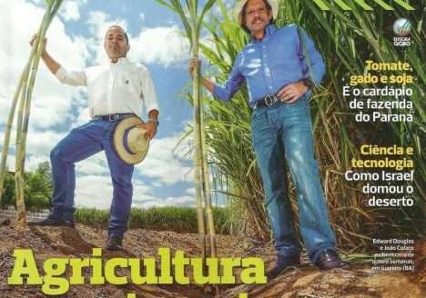 Rede orgânica: empresa do Paraná investe em produtores no Nordeste Rede orgânica: empresa do Paraná investe em produtores no Nordeste