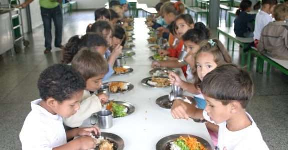 Paraná aumenta em 284% a quantidade de orgânicos na merenda escolar