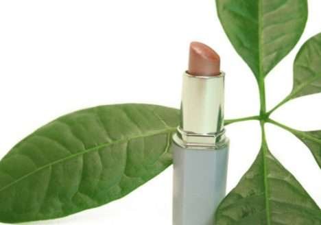 Rastreabilidade, regulação e oferta retardam a adoção de ingredientes naturais em cosméticos Rastreabilidade, regulação e oferta retardam a adoção de ingredientes naturais em cosméticos