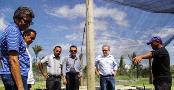 Horticultores de Teresina buscam certificação orgânica