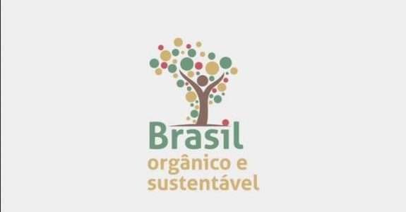 MDS e parceiros discutem ações do Brasil Orgânico e Sustentável