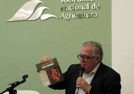 Dinamarca: aumento de orgânicos nas cozinhas Dinamarca: aumento de orgânicos nas cozinhas