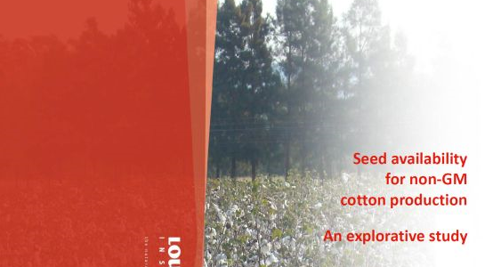 Disponibilidade de sementes de algodão orgânico é avaliada