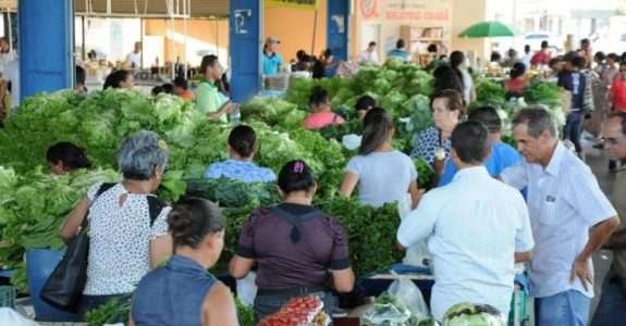 Agricultores tocantinenses iniciam a venda de produtos orgânicos em Palmas