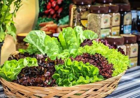 Programa de agricultura familiar quer levar alimentos direto do produtor para a mesa do consumidor