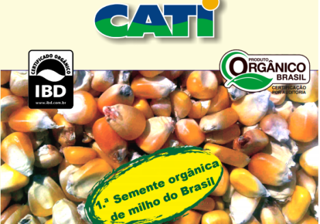 CATI (SP) oferece, à venda, semente de milho orgânica certificada pelo IBD CATI (SP) oferece, à venda, semente de milho orgânica certificada pelo IBD