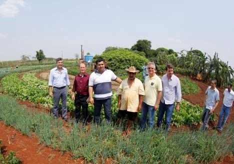 Hortas agroecológicas ajudam a mudar realidade da vida no campo Hortas agroecológicas ajudam a mudar realidade da vida no campo
