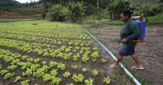 Exposição a agrotóxicos pode causar mal de Parkinson e câncer, diz Instituto