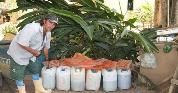 Produtor rural deixa de usar agrotóxicos e recupera solo