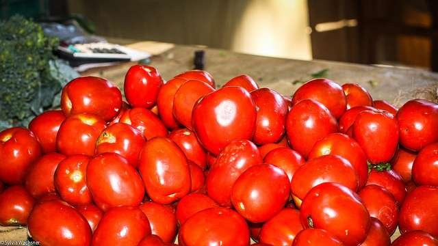 Resultado de duas análises feitas em tomates detectou 17 resíduos de defensivos diferentes; um era proibido no Brasil