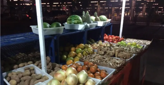 Agroecologia: Práticas, mercado e política para uma nova agricultura