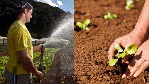agroeco