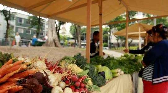 Idec lança aplicativo para facilitar acesso dos consumidores