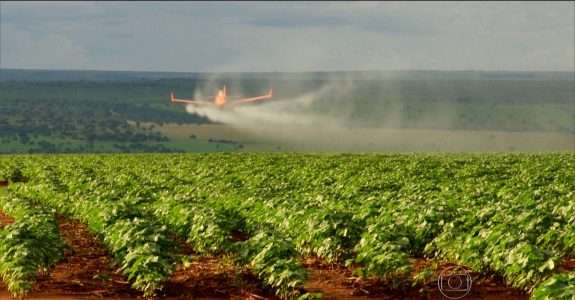 Um exército de alimentos orgânicos começa a crescer na China