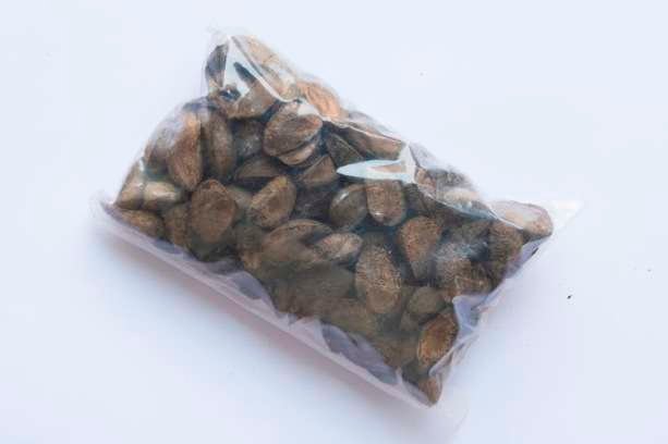 PRODUTOS_CASTANHA_0061