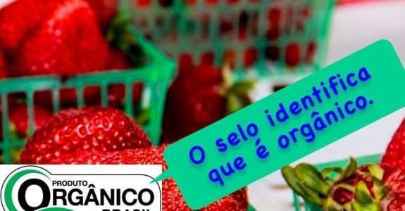 Campanha pela certificação de orgânicos combate informalidade Campanha pela certificação de orgânicos combate informalidade