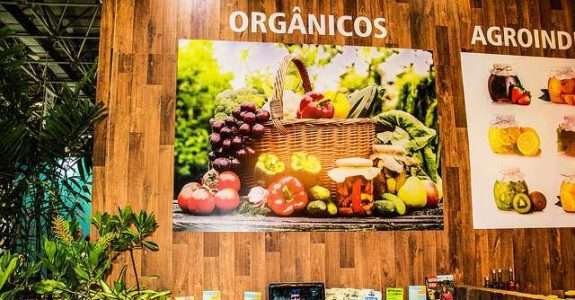 Países devem adotar diretrizes alimentares que levem em conta a sustentabilidade, diz FAO