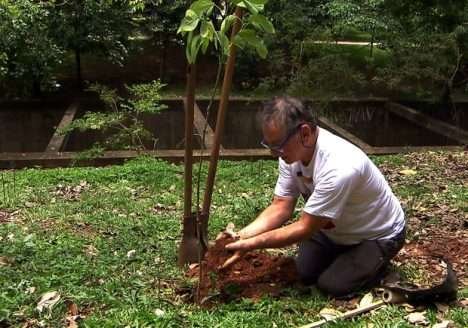 Produtor de açúcar orgânico participa do programa “Como Será?” Produtor de açúcar orgânico participa do programa “Como Será?”