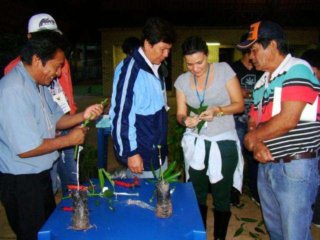 indigenas