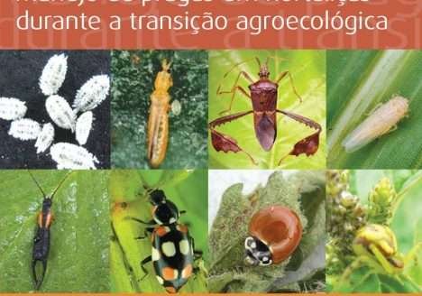 Manejo de pragas durante transição agroecológica Manejo de pragas durante transição agroecológica