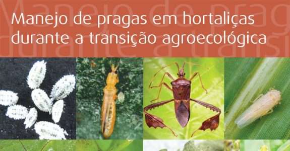Manejo de pragas durante transição agroecológica