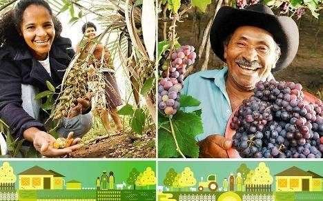 Curso de Gestão de Redes de Agroecologia: Interação para o desenvolvimento rural sustentável
