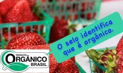 CI Orgânicos lança campanha contra invasão de supostos produtos orgânicos no mercado