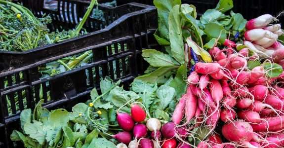 Dinamarca, contra o desperdício de comida