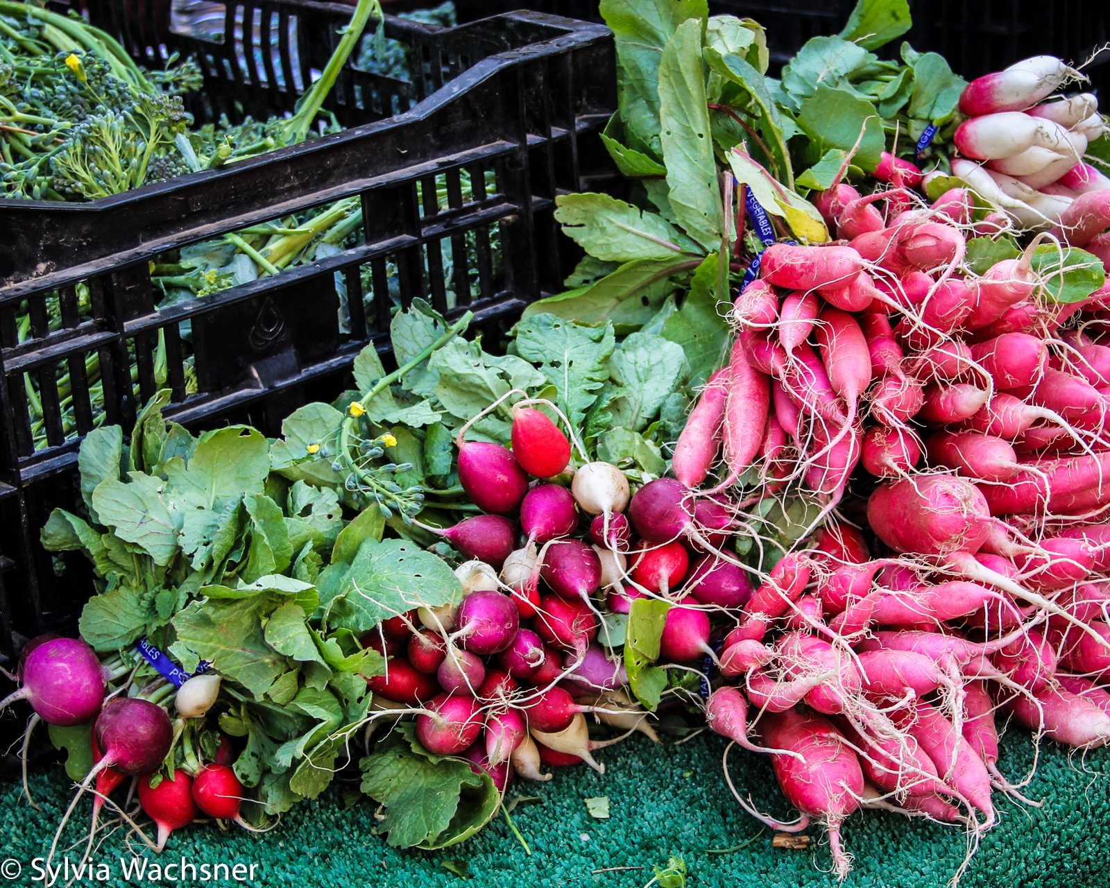 foto: OrganicsNet