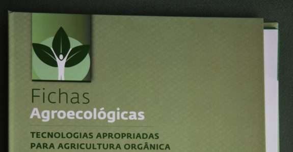 MAPA lança fichas para cultivo de orgânicos