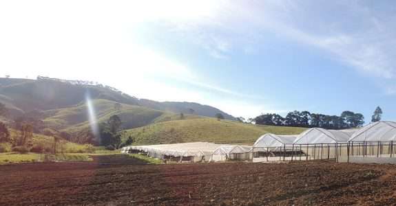 Os caminhos para uma agricultura orgânica em larga escala