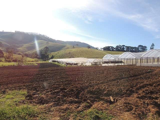 Fazenda Bela Vista - Foto por Sylvia Wachsner