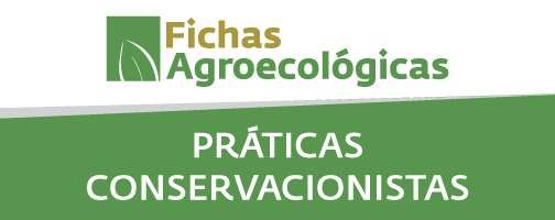 03praticas